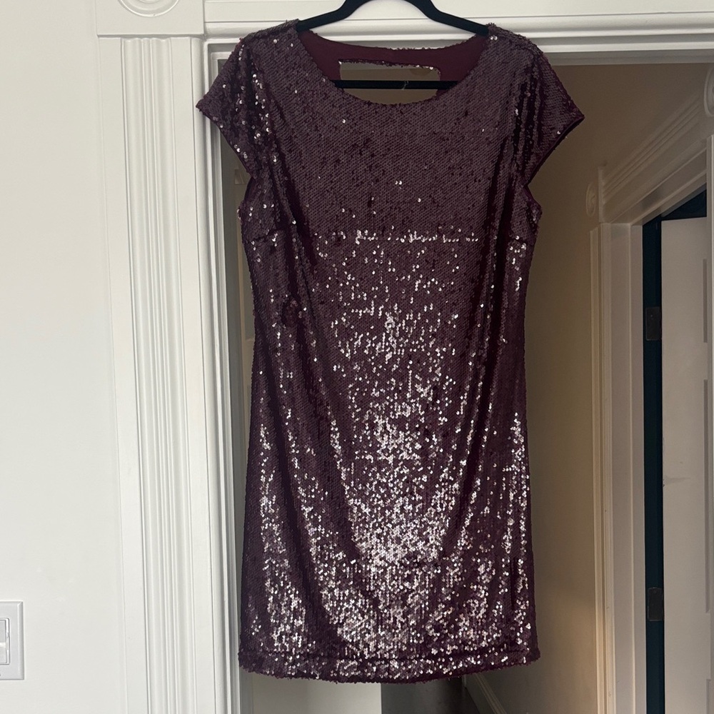 Elegant Sequin maroon Dress